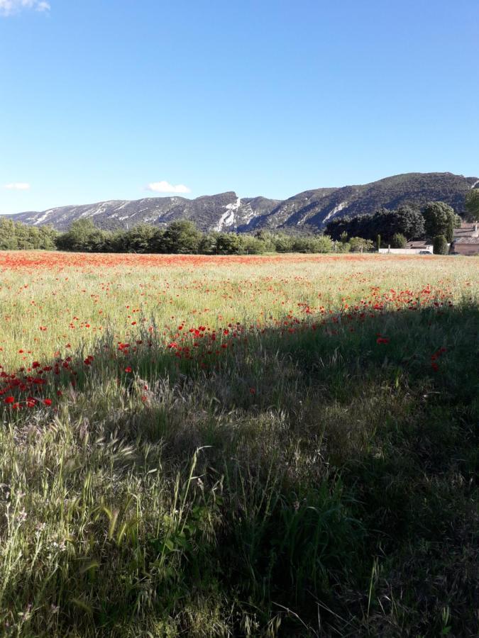 Gite Le Bagnol Un Coin De Paradis Maubec  Dış mekan fotoğraf
