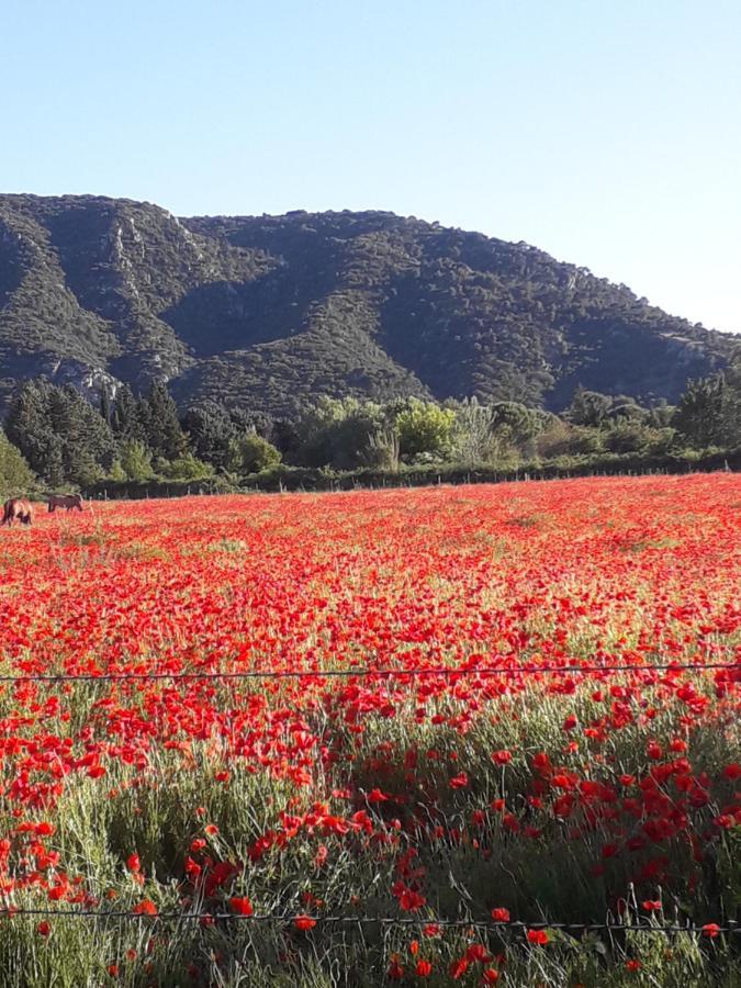 Gite Le Bagnol Un Coin De Paradis Maubec  Dış mekan fotoğraf